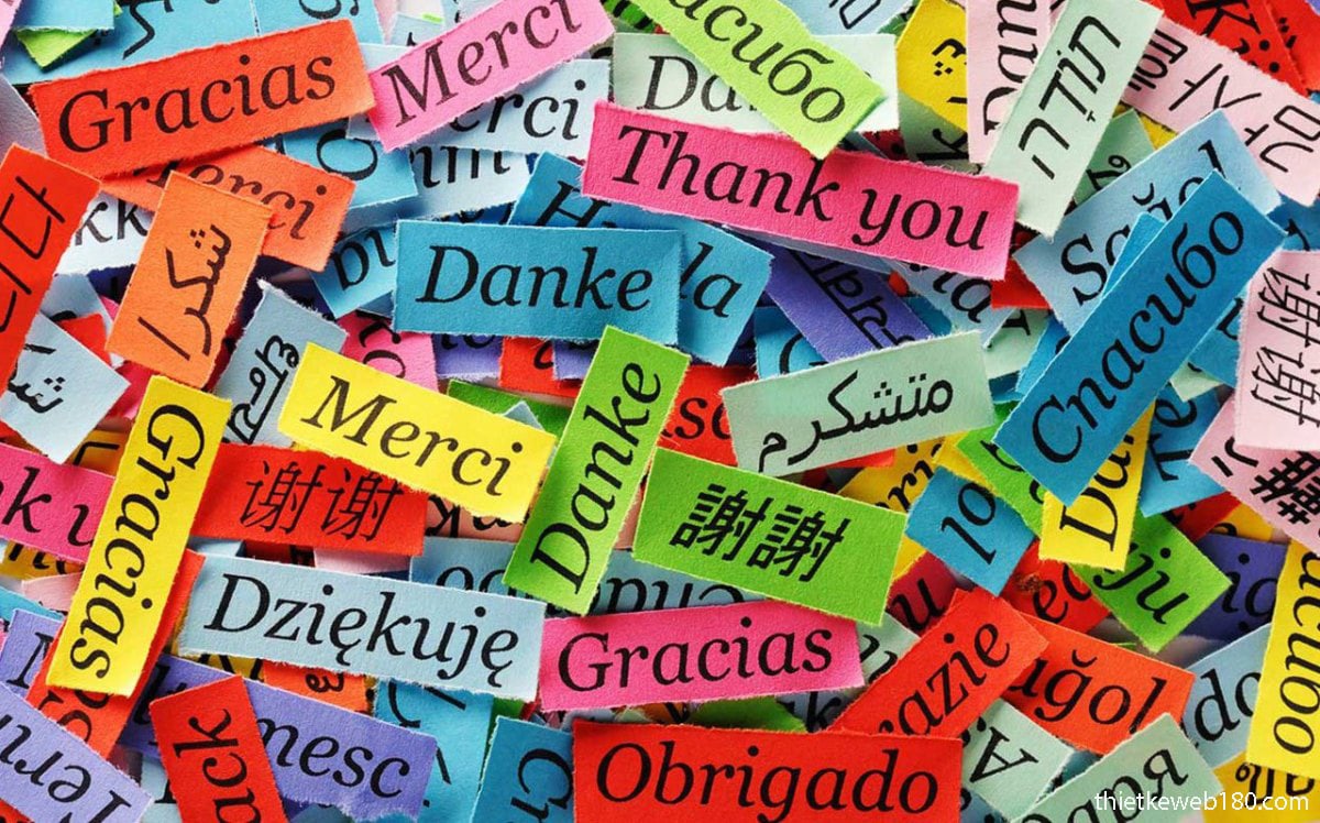 Cách làm web 2 ngôn ngữ