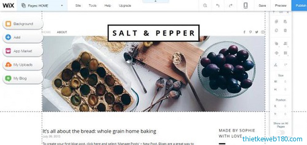 Lựa chọn giao diện web