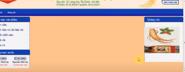 Tạo module hỗ trợ trực tuyến và quảng cáo