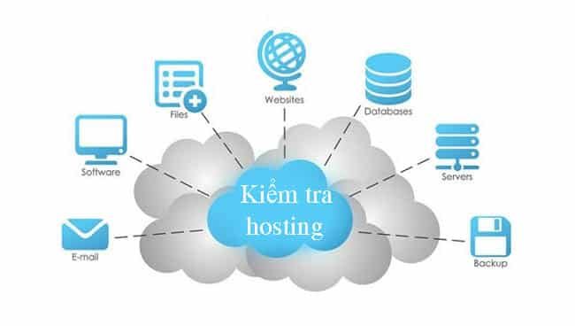 Cách kiểm tra hosting của website