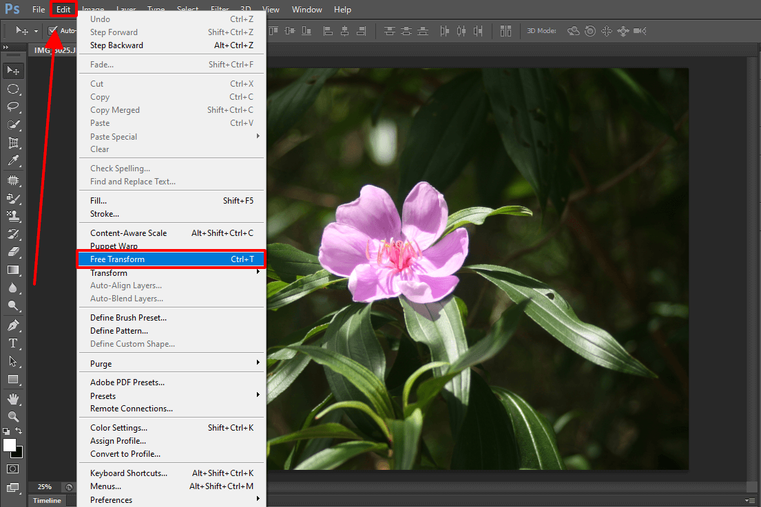 Thay đổi kích thước ảnh thông qua tính năng Transform