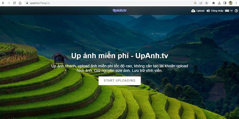 Web up ảnh lấy link