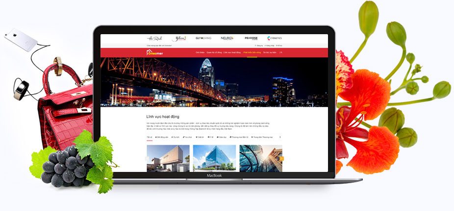 Vì sao chọn thiết kế web Hải Phòng tại Thiết kế web 180?
