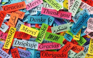 Cách làm web 2 ngôn ngữ