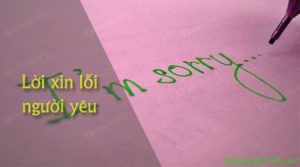 Cách làm web xin lỗi người yêu