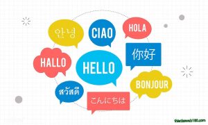 website đa ngôn ngữ Asp.net