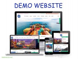 Website demo là gì?